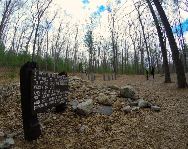 Site of Thoreau's Cabin