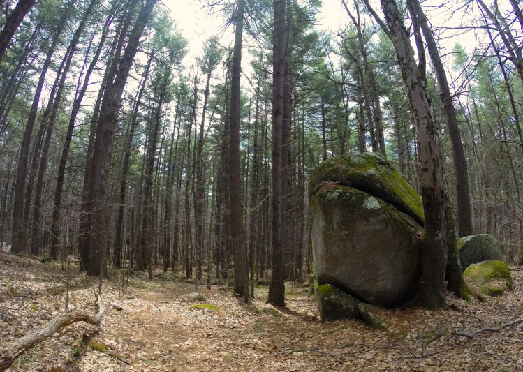 Boulders in Upton State Forest
