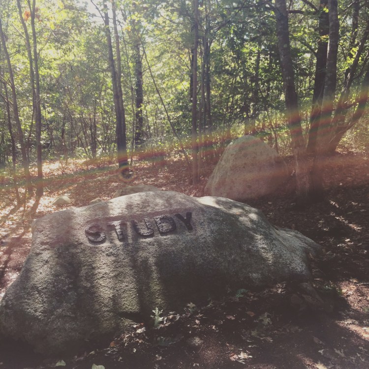 BABSON BOULDERS 2